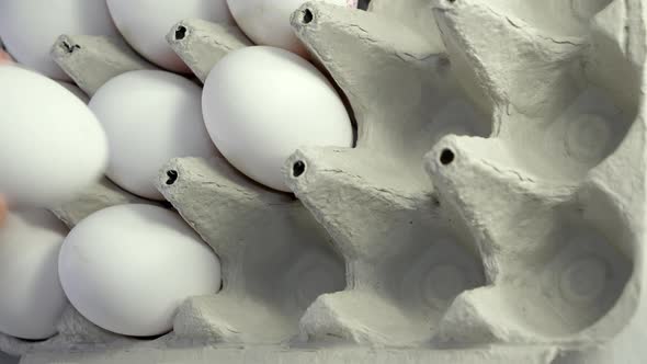 Closer Look of the Egg Tray with the White Eggs