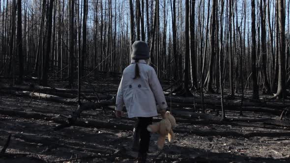 Little girl with teddy bear in burnt forest