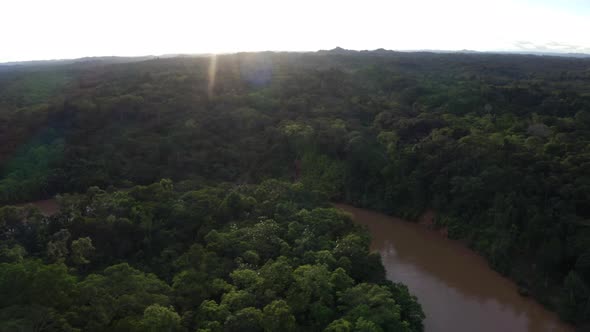 Aerial view of the canopy from a tropical forest in the Amazon of Ecuador alt