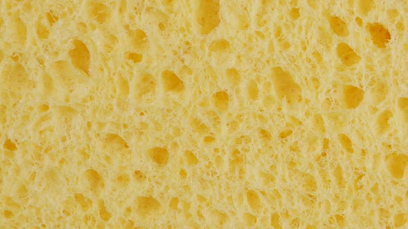 Yellow sponge detail texture