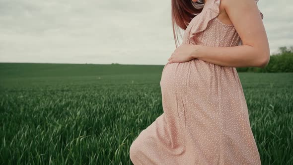 Young pregnant woman in a pink summer dress walks on a green field with wheat.