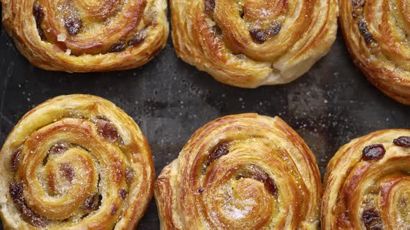 Homemade Puff Pastry Cinnamon Rolls with Raisins Placed on Oven Iron Tray alt