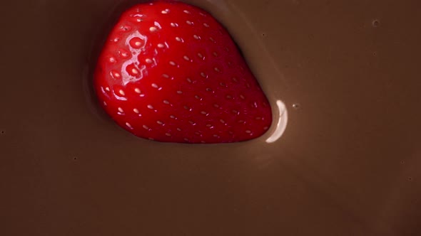 Macro Video of the Ripe Strawberry, That Drowns in the Melted Chocolate in Slow Motion, Making