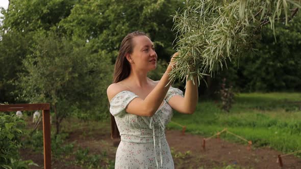 Woman Touching Tree Branches in Garden