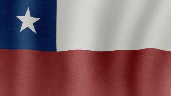 The National Flag of Chile