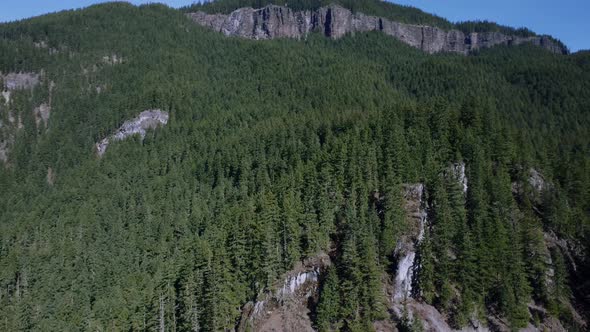 Flying by Cliffs in Lush Forest alt