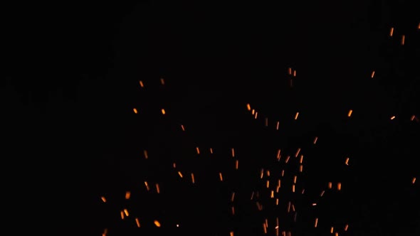 Campfire Sparks Rise Up Against a Black Background. Slow Motion 240 Fps alt