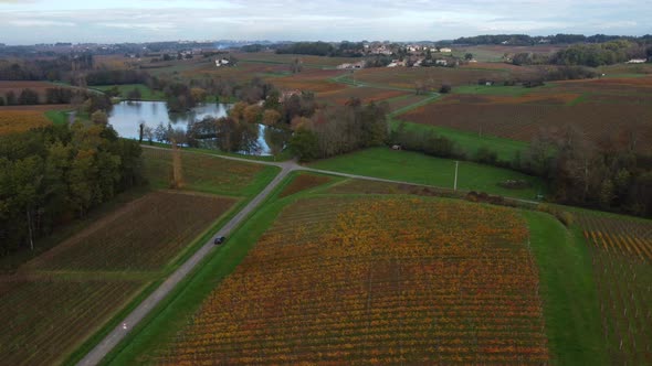 Aerial view bordeaux vineyard, landscape vineyard south west of france, europe 