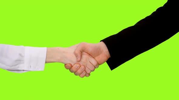  Handshake of Two Business Partners 