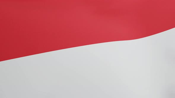 National Flag of Monaco Waving Original Size and Colors 3D Render Drapeau De Monaco By Principality alt