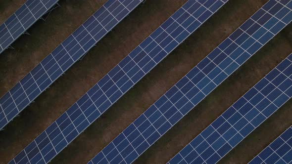 Top Down Aerial View of Large Solar Panels at a Solar Farm at Early Spring Sunset alt