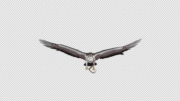 Snake Eagle with Serpent - 4K Flying Loop - Front View