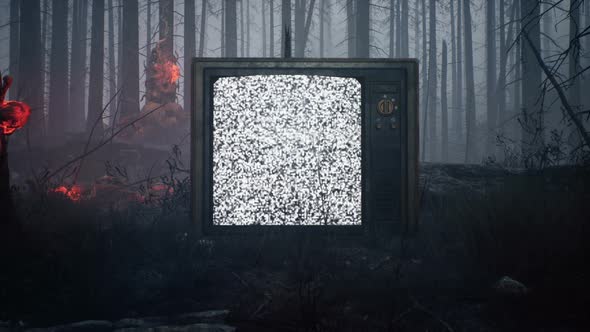 An Old Television Set In A Dark Forest