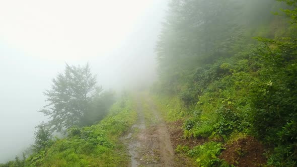 Foggy Misty Green Mountain Road, Beauty of Kackar, Rize, Turkey