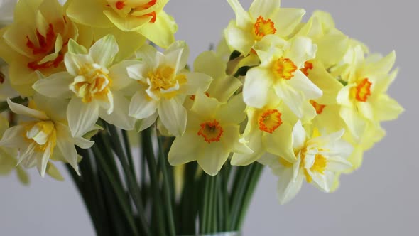 Bouquet of Daffodils in Vase on Table Against Grey Background