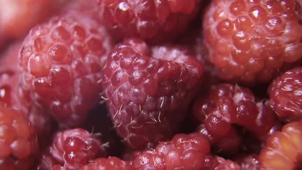 Raspberry fruit background. Close Up of raspberry alt