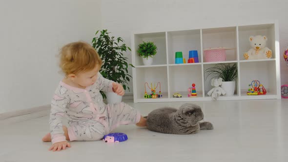 Baby is Playing with the Cat alt