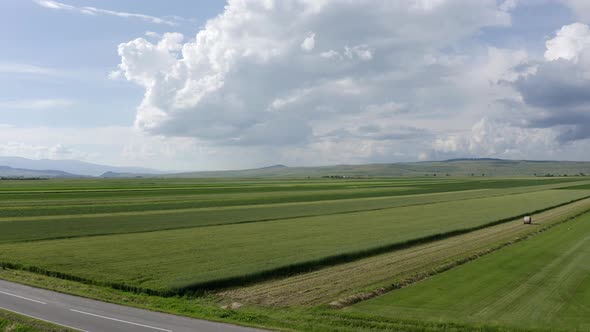Agricultural Fields And County Road Between Communes Of Sansimion And Sanmartin In Harghita County, alt