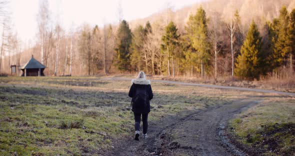 Leaisure Activities, Sport - Tourist Walking Along Mountain Trail in Mountains alt