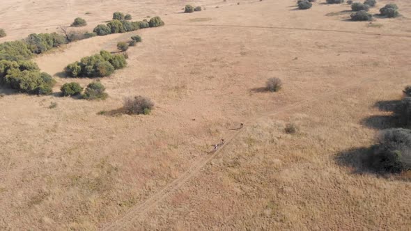 Aerial slow motion shot following mountain bikers during a race in day time. alt