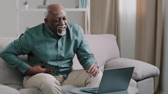 Older African American Male Freelancer Mature Pensioner Sitting at Home Office on Couch Using Laptop alt