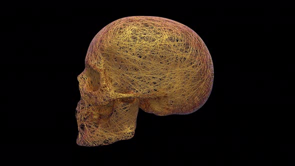 Abstract Skull Rotation Loop Animation Background 4K Ultra HD alt