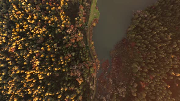 Aerial View of Forest During Calm Autumn Sunset.