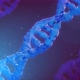Dna Strand 4K Loop Animation - VideoHive Item for Sale
