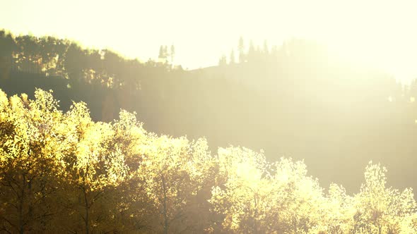 Valley with Autumn Trees Among the Mountains Lit By the Sun at Sunset alt