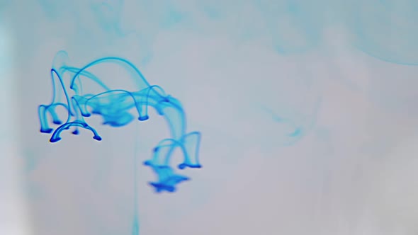 Liquid Abstractions the Dissolution of Blue Paint in Water Slow Motion alt