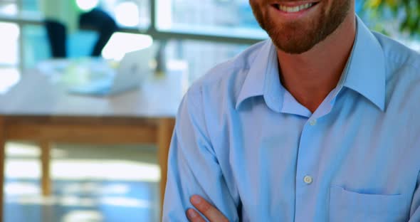 Portrait of happy executive alt