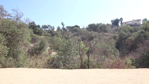 A young woman runner trail running. alt