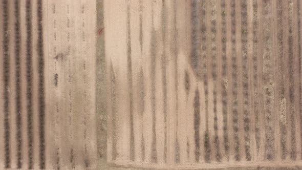 AERIAL: Farm Field Ready to Plant Agriculture Cultivating Plants alt