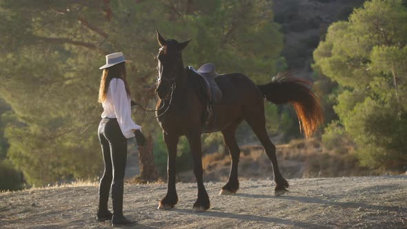 Smiling Woman Holding Bridle of Gorgeous Horse Neighing Standing in Sunlight on Hill alt