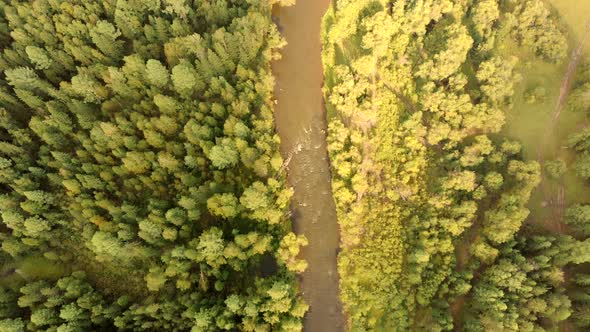 Aerial Flying of Drone Over River and Forest. Top View of Streams and Trees.