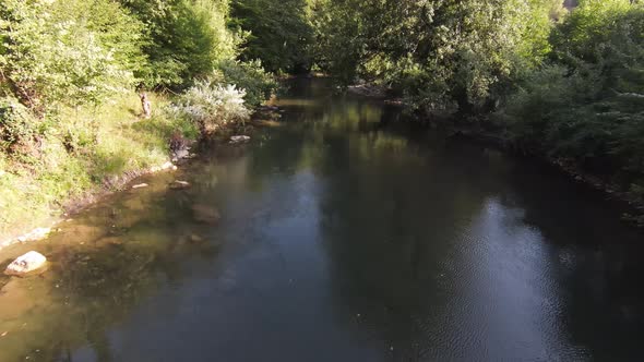 FPV Aerial Shot Dynamic Flying at Natural Landscape River Canyon in the Dense Green Forest and Rapid alt