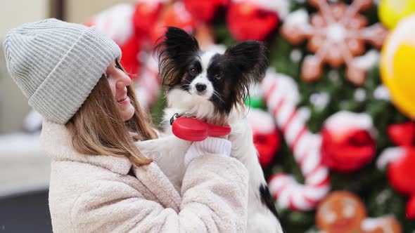 Beautiful Girl with Dog Papillon in Her Arms on Winter Christmas Streets alt
