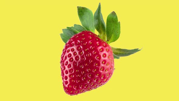 one big fresh red strawberry rotating close-up on a yellow background