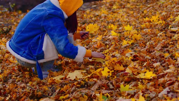 Unrecognizable Woman Collects Autumn Leaves in Forest alt
