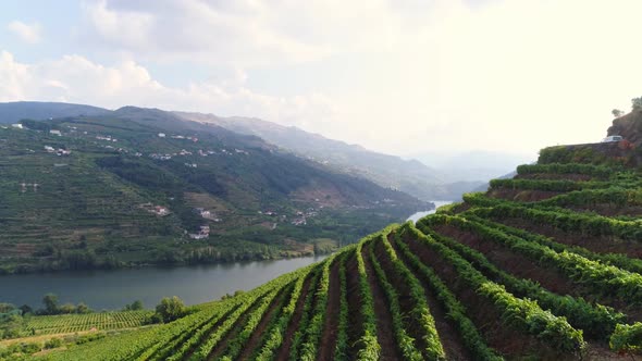 Aerial View Douro Valley in Sunny Day