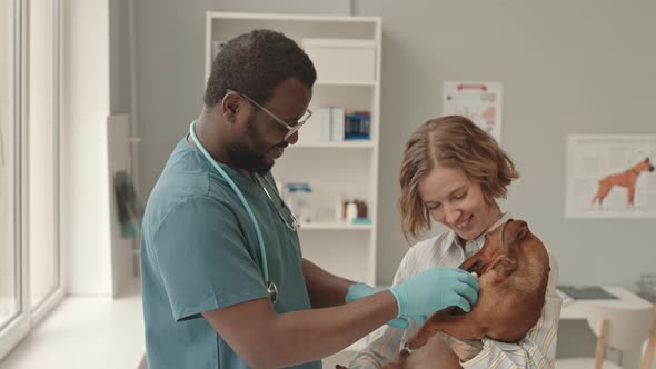 Doc Petting Dog of Woman alt