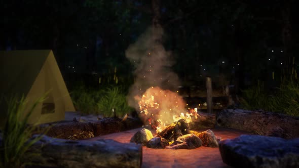 Camp Fire looped 4K