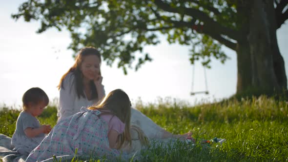 Attractive Mummy and Her Two Little Babes Made a Picnic. alt