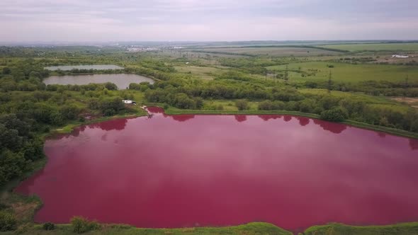 Aerial Shot on Amazing Pink Lake at Summer Day, Ecological Catastrophe