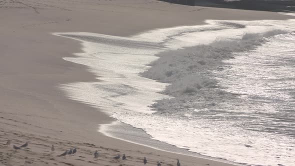 Waves crash early in the morning at Sydney Beautiful Bondi beach alt