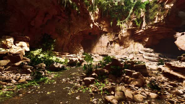 Cave in an Extinct Volcano Covered with Grass and Plants alt