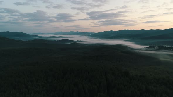 Fog Over the Forest in the Carpathians alt