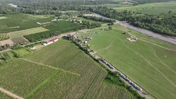 Aerial flight over beautiful vineyard landscape in Kvareli, Georgia alt