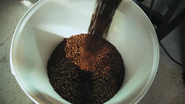 Footage of fresh roasted beans pouring from machine to a big white bowl alt