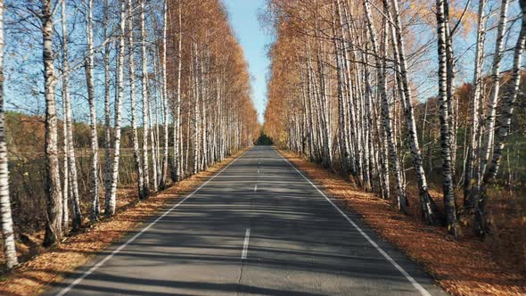 Driving on empty autumn road, going backward